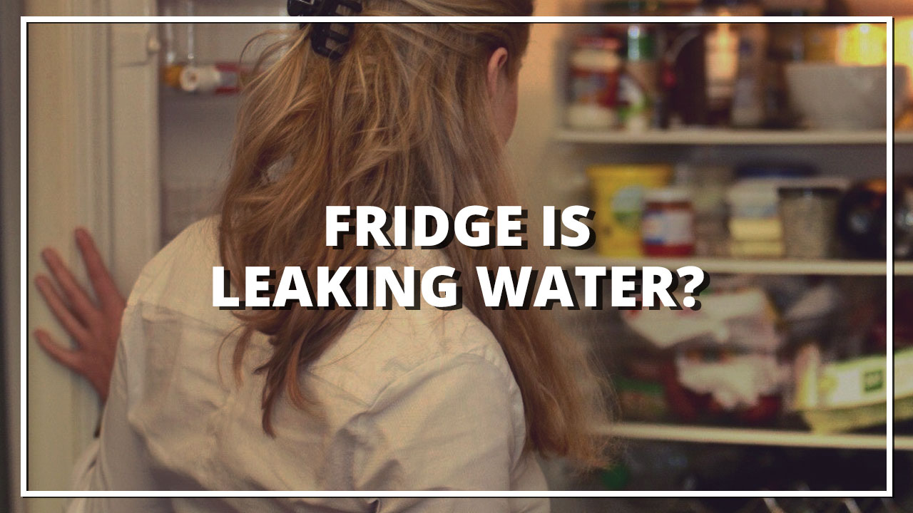 Fridge is Leaking Water